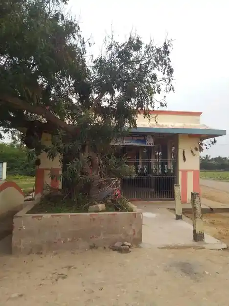 Arulmigu Pidari Seliyamman Temple, Pillaipakkam - 602105 Arulmigu Pidari Seliyamman Temple, Pillaipakkam - 602105, Kancheepuram - Ancient Temple Architecture and History Image 4