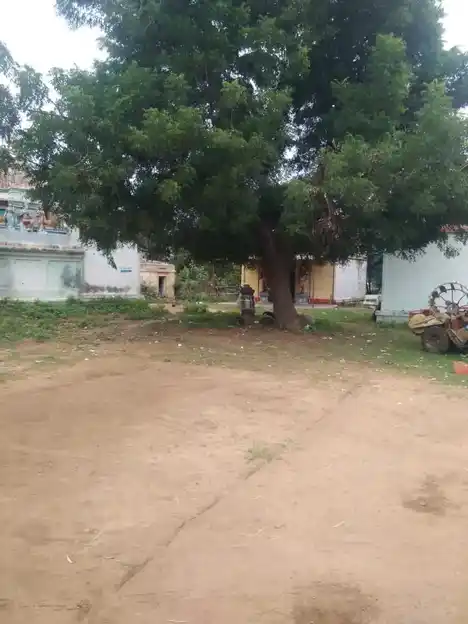 Arulmigu Pidari Sellandiyamman Temple, Utthamarcheri - 620005 அருள்மிகு பிடாரி செல்லாண்டியம்மன் திருக்கோயில், உத்தமசேரி - 620005, Thiruchirappalli - Ancient Temple Architecture and History Image 2