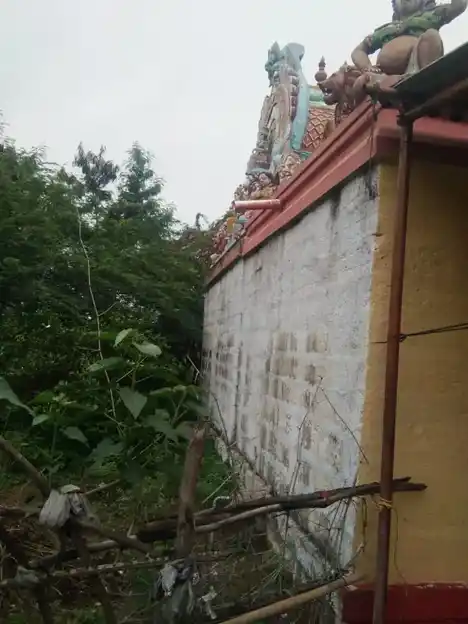 Arulmigu Pidari Sellandiyamman Temple, Utthamarcheri - 620005 அருள்மிகு பிடாரி செல்லாண்டியம்மன் திருக்கோயில், உத்தமசேரி - 620005, Thiruchirappalli - Ancient Temple Architecture and History Image 4