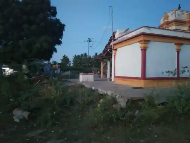Arulmigu Pidari Sellayiamman Temple, Thiruvappur - 622003 அருள்மிகு பிடாரி செல்லாயி அம்மன் திருக்கோயில், திருவப்பூர் - 622003, Pudukkottai - Ancient Temple Architecture and History Image 2