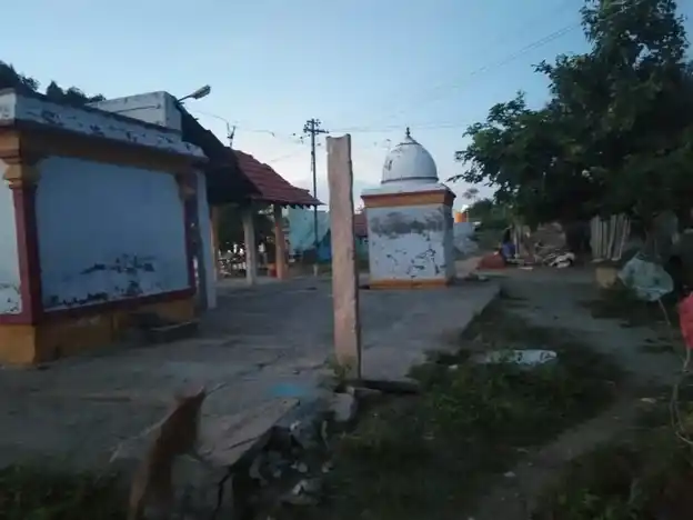 Arulmigu Pidari Sellayiamman Temple, Thiruvappur - 622003 அருள்மிகு பிடாரி செல்லாயி அம்மன் திருக்கோயில், திருவப்பூர் - 622003, Pudukkottai - Ancient Temple Architecture and History Image 3