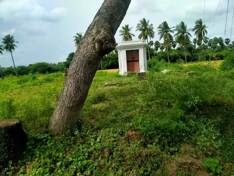 Arulmigu Pidari Selliamman Temple, Mampakkam - 603106