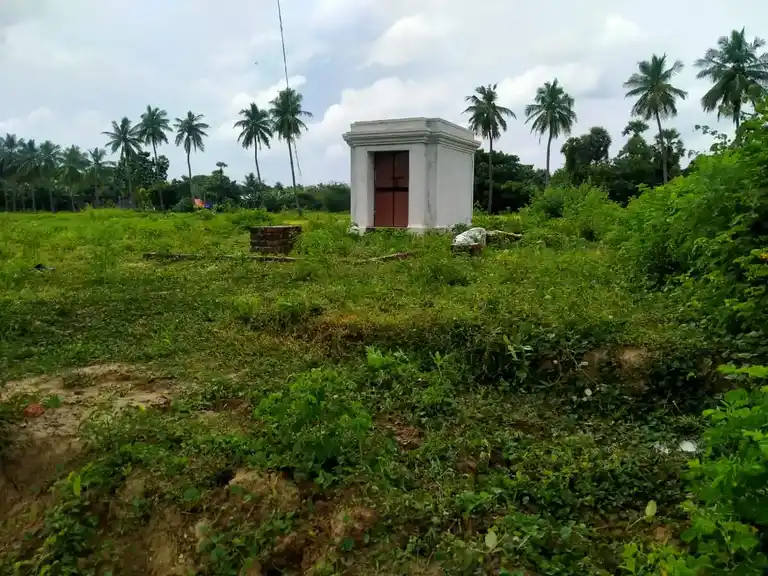 Arulmigu Pidari Selliamman Temple, Mampakkam - 603106 அருள்மிகு பிடாரி செல்லியம்மன் திருக்கோயில், Mampakkam - 603106, Kancheepuram - Ancient Temple Architecture and History Image 2