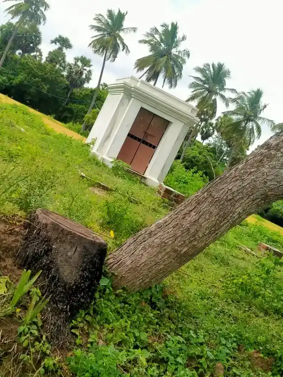 Arulmigu Pidari Selliamman Temple, Mampakkam - 603106 அருள்மிகு பிடாரி செல்லியம்மன் திருக்கோயில், Mampakkam - 603106, Kancheepuram - Ancient Temple Architecture and History Image 4