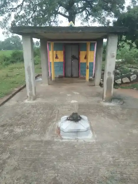 Arulmigu Pidari Selliamman Temple, Near Tank, Soorapundi - 601201 அருள்மிகு பிடாரி செல்லியம்மன் திருக்கோயில், Near Tank, Soorapundi - 601201, Tiruvallur - Ancient Temple Architecture and History Image 4