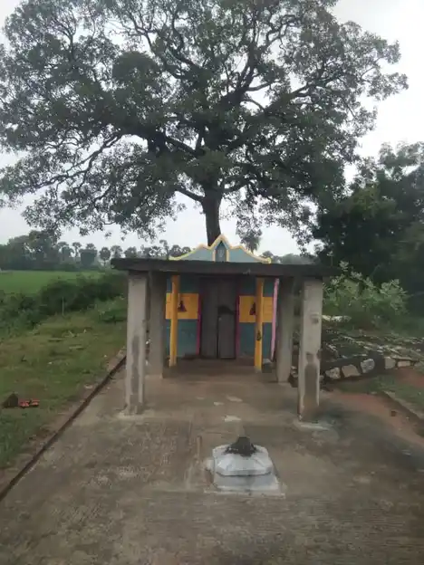 Arulmigu Pidari Selliamman Temple, Near Tank, Soorapundi - 601201 அருள்மிகு பிடாரி செல்லியம்மன் திருக்கோயில், Near Tank, Soorapundi - 601201, Tiruvallur - Ancient Temple Architecture and History Image 6