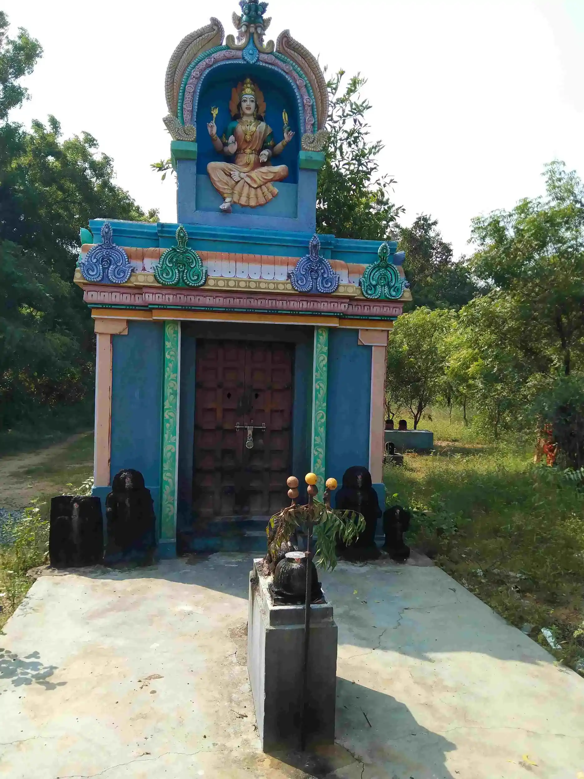 Arulmigu Pidari Selliamman Temple, Pudupattu - 603312 அருள்மிகு பிடாரிசெல்லியம்மன் திருக்கோயில், Pudupattu - 603312, Chengalpattu - Ancient Temple Architecture and History Image 4