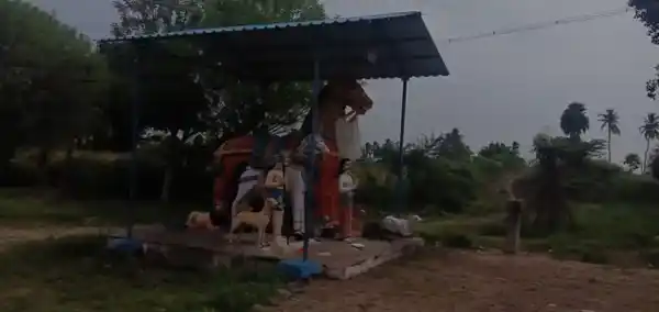 Arulmigu Pidari Selliamman Temple, Venbavoor - 621116 அருள்மிகு பிடாரி, செல்லியம்மன் திருக்கோயில், Venbavoor - 621116, Perambalur - Ancient Temple Architecture and History Image 2