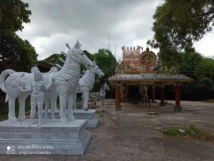 Arulmigu Pidari Selliyamman Temple, Madhoor - 603201 அருள்மிகு பிடாரி செல்லியம்மன் திருக்கோயில், Madhoor - 603201, Chengalpattu - Ancient Temple Architecture and History Image 2