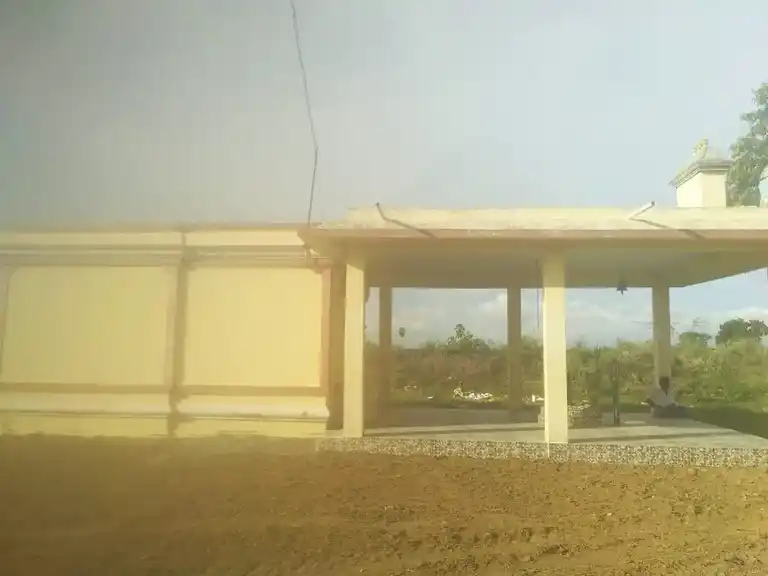 Arulmigu Pidari Selliyamman Temple, Pambayampattu - 603306 அருள்மிகு பிடாரி செல்லியம்மன் திருக்கோயில், Pambayampattu - 603306, Chengalpattu - Ancient Temple Architecture and History Image 3