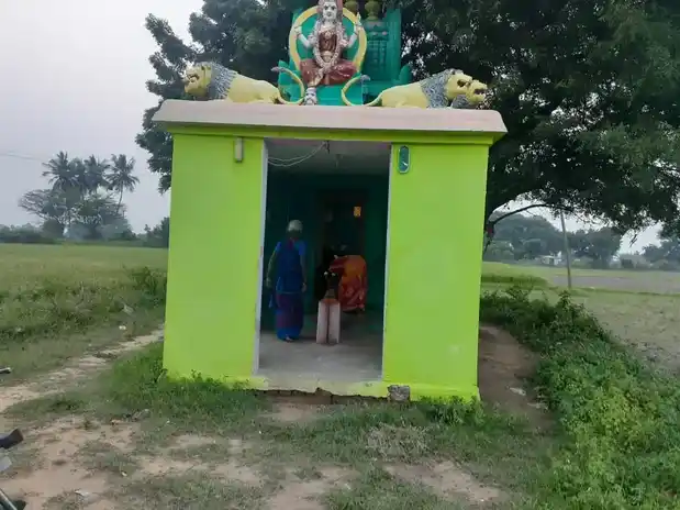 Arulmigu Pidari Selliyamman Temple, Pitchivakkam - 631553 அருள்மிகு பிடாரி செல்லியம்மன் திருக்கோயில், Pitchivakkam - 631553, Kancheepuram - Ancient Temple Architecture and History Image 2