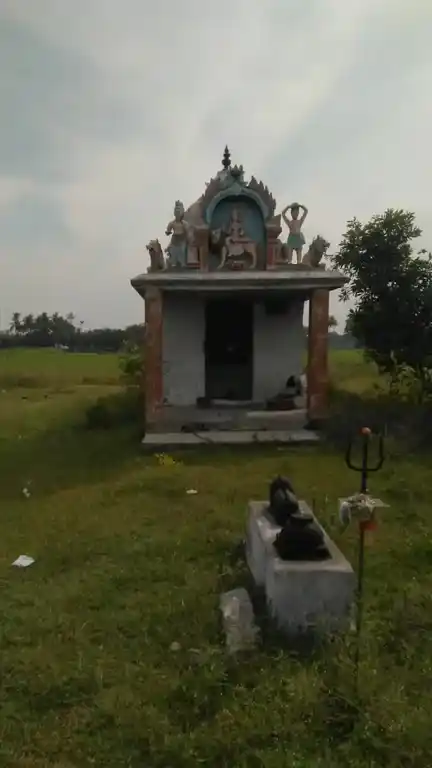 Arulmigu Pidari Selliyamman Temple, Vadakarampoondi - 606303