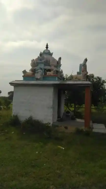 Arulmigu Pidari Selliyamman Temple, Vadakarampoondi - 606303 அருள்மிகு பிடாரி திருக்கோயில், Vadakarampoondi - 606303, Cuddalore - Ancient Temple Architecture and History Image 3
