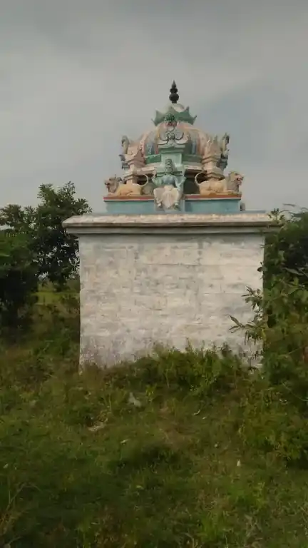 Arulmigu Pidari Selliyamman Temple, Vadakarampoondi - 606303 அருள்மிகு பிடாரி திருக்கோயில், Vadakarampoondi - 606303, Cuddalore - Ancient Temple Architecture and History Image 4