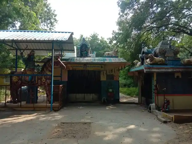 Arulmigu Pidari Sokkandiyamman Temple, Ammangudi - 621208 அருள்மிகு பிடாரி சொக்காண்டியம்மன் திருக்கோயில், Ammangudi - 621208, Thiruchirappalli - Ancient Temple Architecture and History Image 5