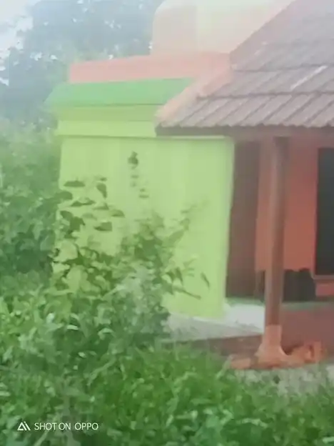 Arulmigu Pidari Temple, A.Vaasudhevanur - 606201 அருள்மிகு பிடாரி திருக்கோயில், A.Vaasudhevanur - 606201, Kallakurichi - Ancient Temple Architecture and History Image 2