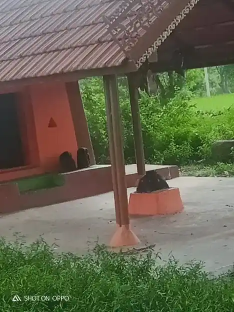 Arulmigu Pidari Temple, A.Vaasudhevanur - 606201 அருள்மிகு பிடாரி திருக்கோயில், A.Vaasudhevanur - 606201, Kallakurichi - Ancient Temple Architecture and History Image 3