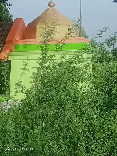 Arulmigu Pidari Temple, A.Vaasudhevanur - 606201 அருள்மிகு பிடாரி திருக்கோயில், A.Vaasudhevanur - 606201, Kallakurichi - Ancient Temple Architecture and History Image 4