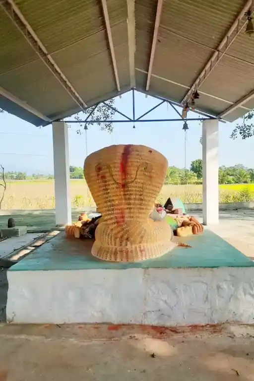 Arulmigu Pidari Temple, Ammaiyagaram - 606201 அருள்மிகு பிடாரி திருக்கோயில், Ammaiyagaram - 606201, Kallakurichi - Ancient Temple Architecture and History Image 3