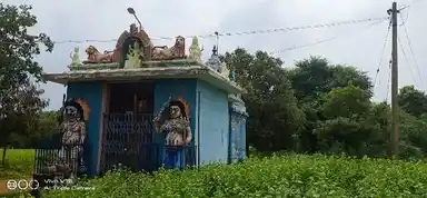 Arulmigu Pidari Temple, Ammankuruchi, Ponnamaravathi Taluk - 622407 அருள்மிகு பிடாரி திருக்கோயில், அம்மன்குறிச்சி, பொன்னமராவதி வட்டம் - 622407, Pudukkottai - Ancient Temple Architecture and History Image 3