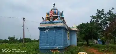 Arulmigu Pidari Temple, Ammankuruchi, Ponnamaravathi Taluk - 622407 அருள்மிகு பிடாரி திருக்கோயில், அம்மன்குறிச்சி, பொன்னமராவதி வட்டம் - 622407, Pudukkottai - Ancient Temple Architecture and History Image 4
