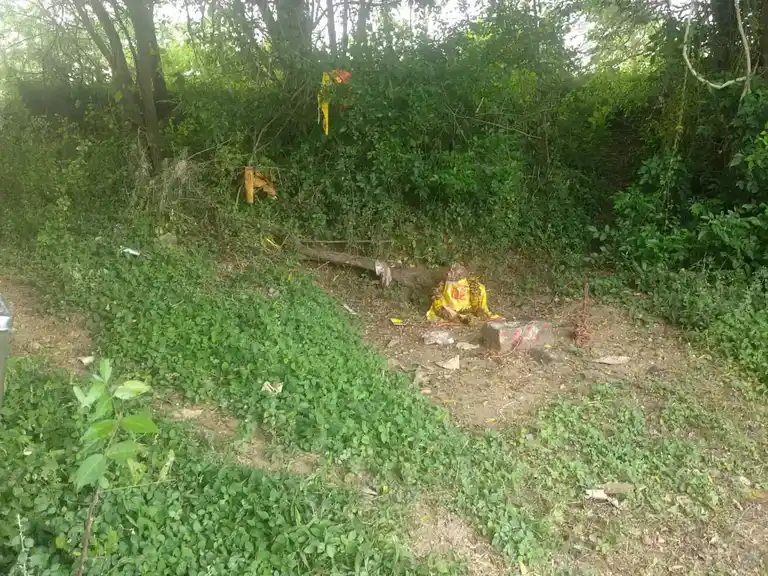 Arulmigu Pidari Temple, Aththippakkam - 604207 அருள்மிகு பிடாரி திருக்கோயில், Aththippakkam - 604207, Kallakurichi - Ancient Temple Architecture and History Image 2