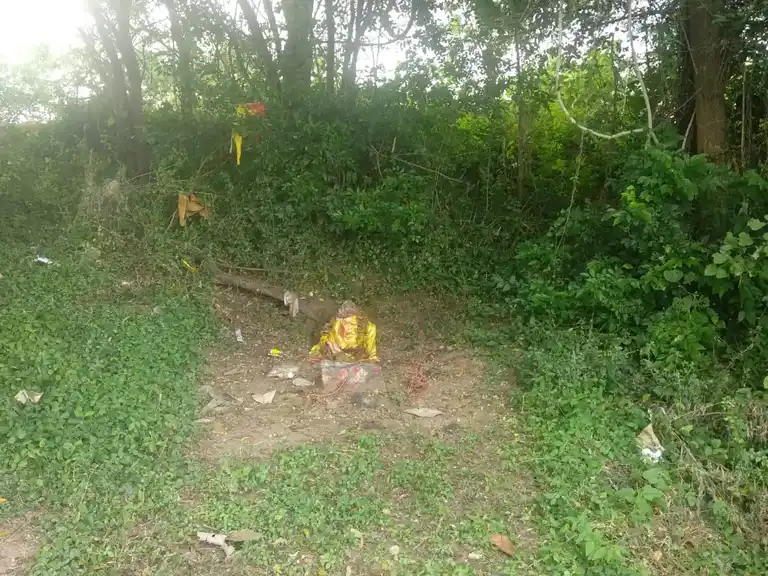 Arulmigu Pidari Temple, Aththippakkam - 604207 அருள்மிகு பிடாரி திருக்கோயில், Aththippakkam - 604207, Kallakurichi - Ancient Temple Architecture and History Image 4