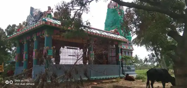 Arulmigu Pidari Temple, Eraiyurpalaiyam - 607201 Arulmigu Pidari Temple, Eraiyurpalaiyam - 607201, Kallakurichi - Ancient Temple Architecture and History Image 6