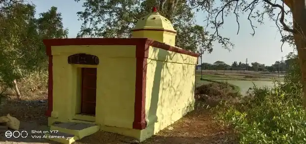 Arulmigu Pidari Temple, Inthili - 606213 அருள்மிகு பிடாரி திருக்கோயில், Inthili - 606213, Kallakurichi - Ancient Temple Architecture and History Image 3
