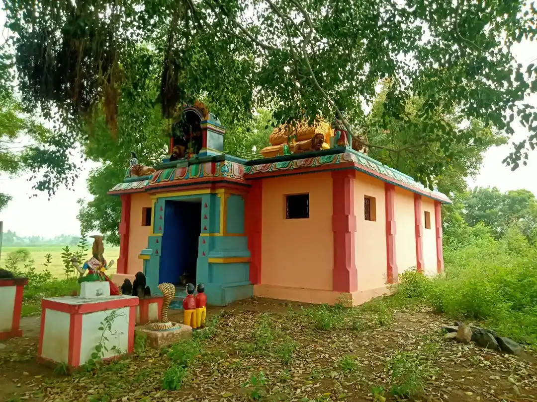 Arulmigu Pidari Temple, Kaaranur - 606207 Temple
