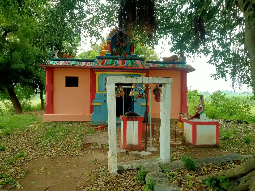 Arulmigu Pidari Temple, Kaaranur - 606207 அருள்மிகு பிடாரி திருக்கோயில், Kaaranur - 606207, Kallakurichi - Ancient Temple Architecture and History Image 2