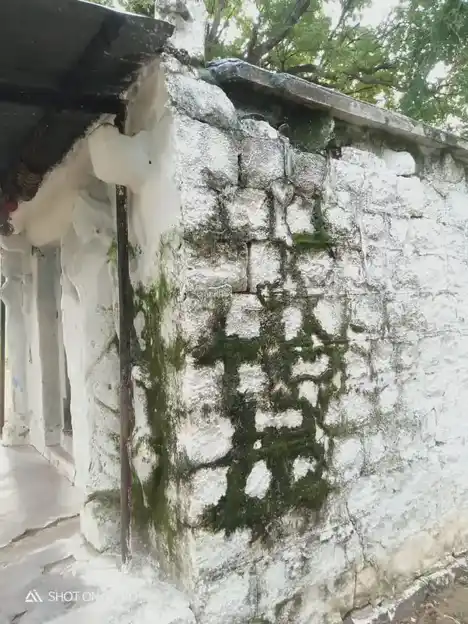 Arulmigu Pidari Temple, Kaniyaamoor - 606201 அருள்மிகு பிடாரி, அய்யனார் திருக்கோயில், Kaniyaamoor - 606201, Kallakurichi - Ancient Temple Architecture and History Image 3