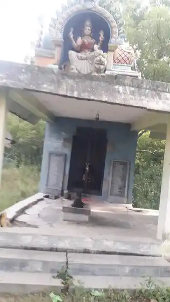 Arulmigu Pidari Temple, Kattumylur - 606304 அருள்மிகு பிடாரி திருக்கோயில், Kattumylur - 606304, Cuddalore - Ancient Temple Architecture and History Image 4