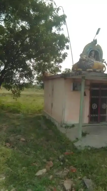 Arulmigu Pidari Temple, Keezhkalpoondi - 606303 அருள்மிகு பிடாரி திருக்கோயில், Keezhkalpoondi - 606303, Cuddalore - Ancient Temple Architecture and History Image 4