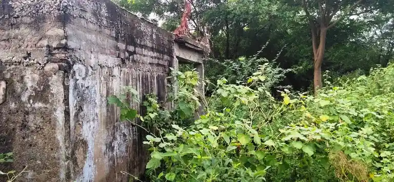 Arulmigu Pidari Temple, Kodukur - 606302 அருள்மிகு பிடாரி திருக்கோயில், Kodukur - 606302, Cuddalore - Ancient Temple Architecture and History Image 4