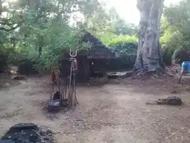 Arulmigu Pidari Temple, Kolluppatti - 622403 அருள்மிகு பிடாரி திருக்கோயில், Kolluppatti - 622403, Pudukkottai - Ancient Temple Architecture and History Image 2