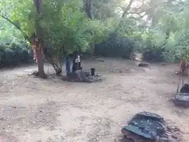 Arulmigu Pidari Temple, Kolluppatti - 622403 அருள்மிகு பிடாரி திருக்கோயில், Kolluppatti - 622403, Pudukkottai - Ancient Temple Architecture and History Image 3