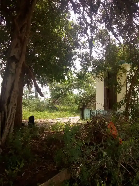 Arulmigu Pidari Temple, Kolukkattaikudi - 620021 அருள்மிகு பிடாரி திருக்கோயில், Kolukkattaikudi - 620021, Thiruchirappalli - Ancient Temple Architecture and History Image 2