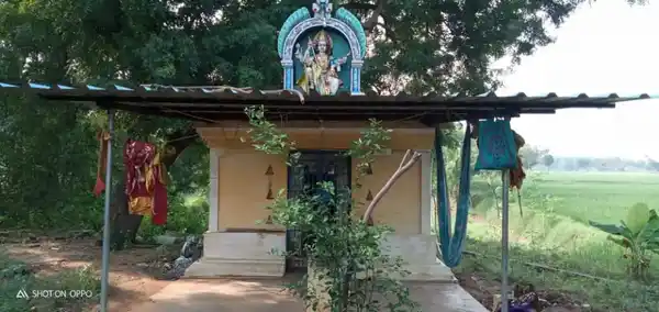 Arulmigu Pidari Temple, Kottamarudhur, Kottamarudhur - 605756 Arulmigu Pidari Temple, Kottamarudhur, Kottamarudhur - 605756, Viluppuram - Ancient Temple Architecture and History Image 2