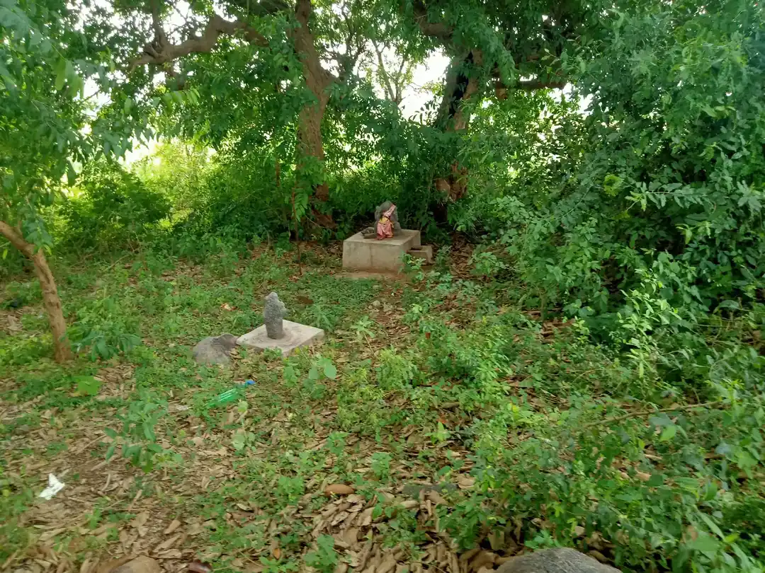 Arulmigu Pidari Temple, Kudhirai Sandhal - 606213 அருள்மிகு பிடாரி திருக்கோயில், Kudhirai Sandhal - 606213, Kallakurichi - Ancient Temple Architecture and History Image 2