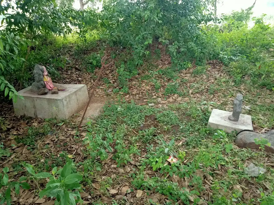 Arulmigu Pidari Temple, Kudhirai Sandhal - 606213 அருள்மிகு பிடாரி திருக்கோயில், Kudhirai Sandhal - 606213, Kallakurichi - Ancient Temple Architecture and History Image 4