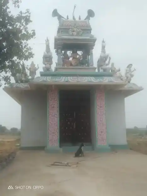 Arulmigu Pidari Temple, M.Kunnathur - 606102 அருள்மிகு பிடாரி திருக்கோயில், மலையடி குன்னத்தூர், மலையடி குன்னத்தூர் - 606102, Kallakurichi - Ancient Temple Architecture and History Image 3