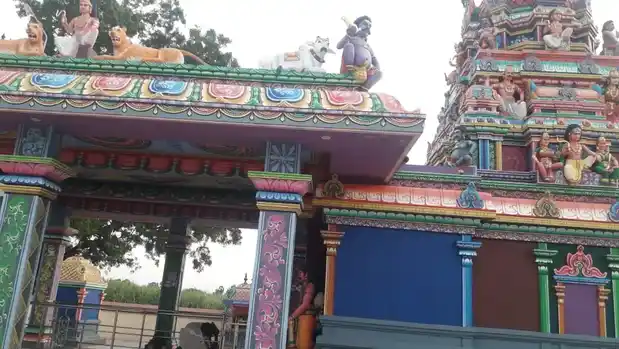 Arulmigu Pidari Temple, Maligaimedu - 607112 அருள்மிகு பிடாரி திருக்கோயில், Maligaimedu - 607112, Cuddalore - Ancient Temple Architecture and History Image 4