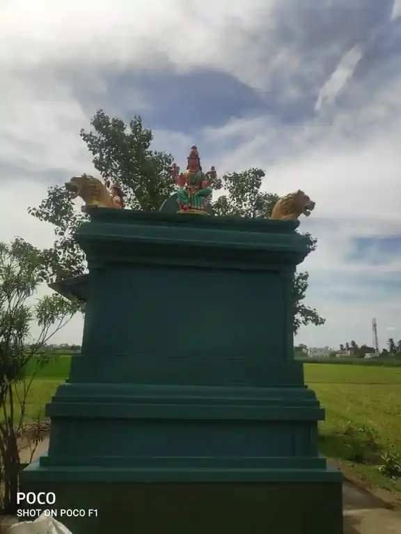 Arulmigu Pidari Temple, Mathur - 606207 அருள்மிகு பிடாரி திருக்கோயில், மாத்தூர் - 606207, Kallakurichi - Ancient Temple Architecture and History Image 3