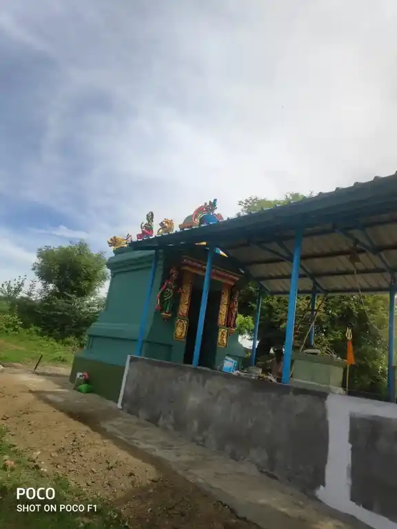 Arulmigu Pidari Temple, Mathur - 606207 அருள்மிகு பிடாரி திருக்கோயில், மாத்தூர் - 606207, Kallakurichi - Ancient Temple Architecture and History Image 4