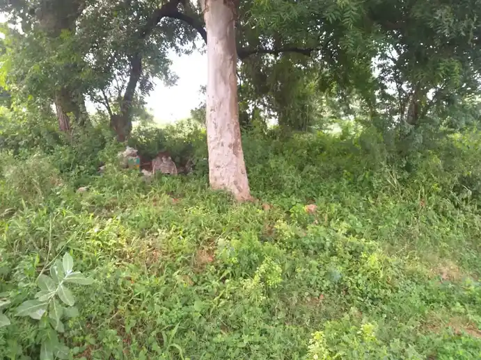 Arulmigu Pidari Temple, Mavathoor - 621311