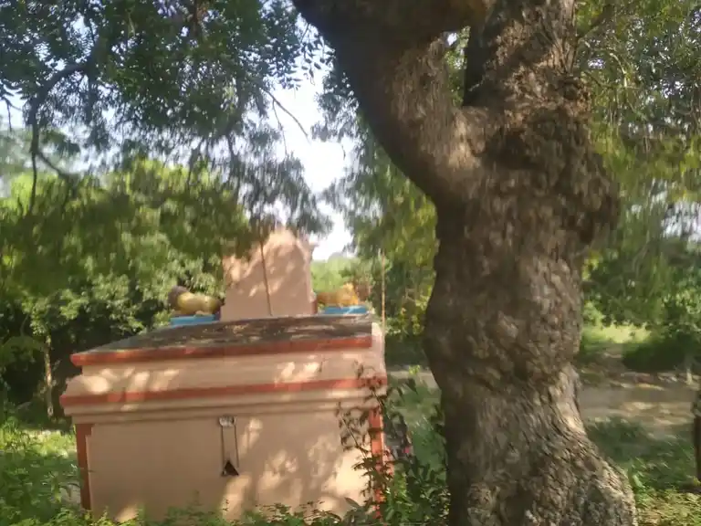 Arulmigu Pidari Temple, Mugaiyur - 605755 Temple