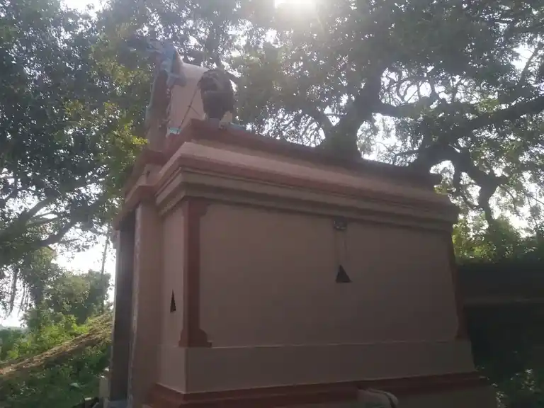 Arulmigu Pidari Temple, Mugaiyur - 605755 அருள்மிகு பிடாரி திருக்கோயில், Mugaiyur - 605755, Viluppuram - Ancient Temple Architecture and History Image 4