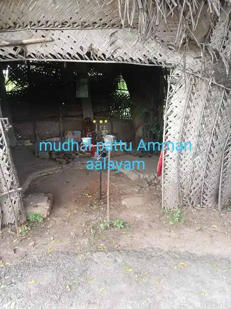 Arulmigu Pidari Temple, Mungilpattu - 605501 அருள்மிகு பிடாரி திருக்கோயில், மூங்கில்பட்டு - 605501, Viluppuram - Ancient Temple Architecture and History Image 2
