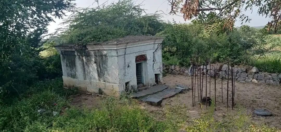 Arulmigu Pidari Temple, Ninnaiyur - 606305 அருள்மிகு பிடாரி திருக்கோயில், Ninnaiyur - 606305, Kallakurichi - Ancient Temple Architecture and History Image 2
